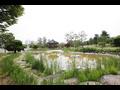 함주 공원 연못과 정자 썸네일 이미지