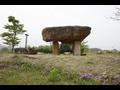 함안 고인돌 공원 조성 부지 내 유적 탁자식 고인돌 썸네일 이미지