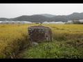 함안 군북 지석묘군 고인돌 썸네일 이미지