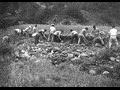 1970년 산인면 신산리 썸네일 이미지