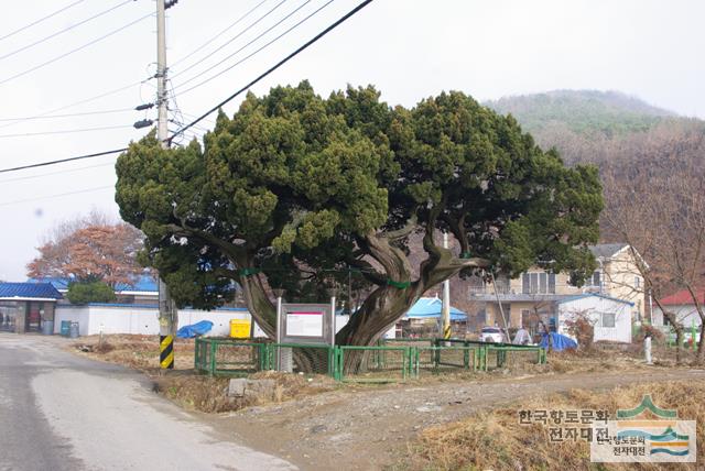 대표시청각 이미지