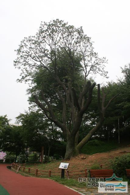 대표시청각 이미지