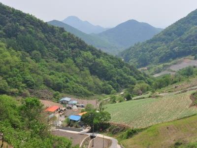 부산리 썸네일 이미지