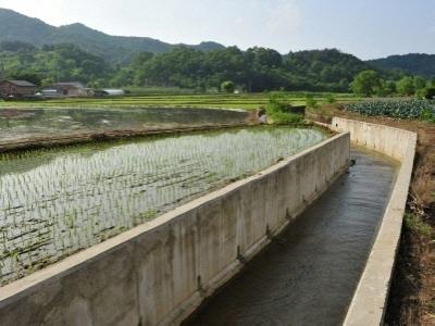 고명천 썸네일 이미지