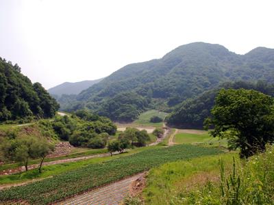 장선천 전경 썸네일 이미지