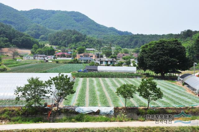 대표시청각 이미지