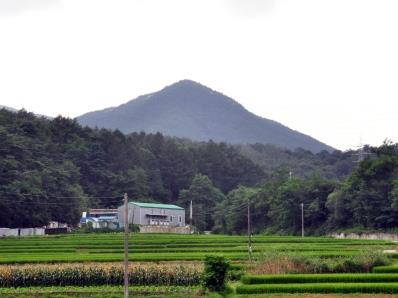 용두산 전경 썸네일 이미지