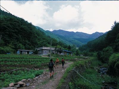 삼봉산 등산로 입구 송골 썸네일 이미지