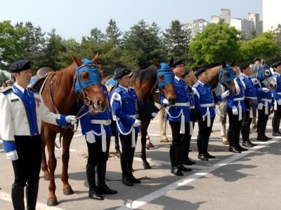 제천경찰서 기마경찰대 발대식 썸네일 이미지