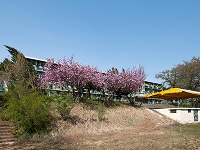 청운초등학교 썸네일 이미지